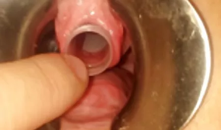 Gangbang با Candy کلیپ سکس دو نفره Sue