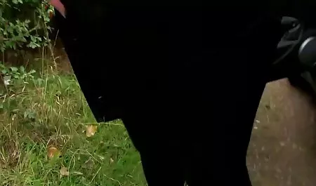 ونسا سکس سه نفره حشری ویدل پرورش بی بی سی می شود