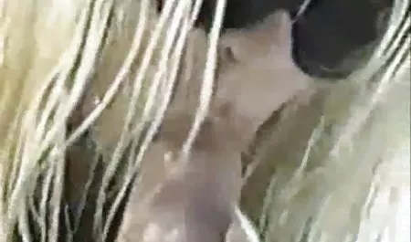 Dalea Home دانلود فیلم سکسی سه نفره