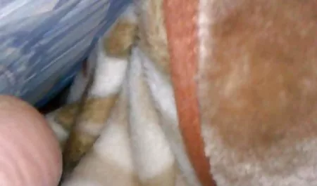 سیگار کشیدن دانلود فیلم سکس سه نفره در فضای باز و بازی Titty
