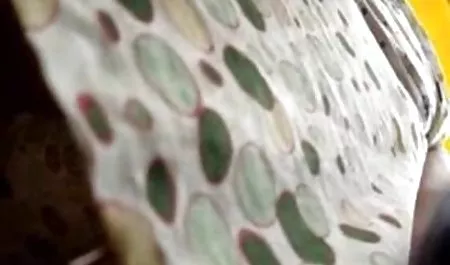 جیز سکس سه نفره خارجی من روی چهره زیبای Juelz Ventura!